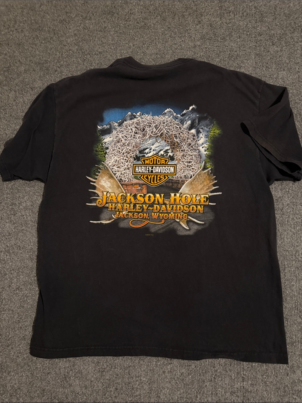 Harley-Davidson Black Jackson Hole Graphic Tee with Yellow Logo
